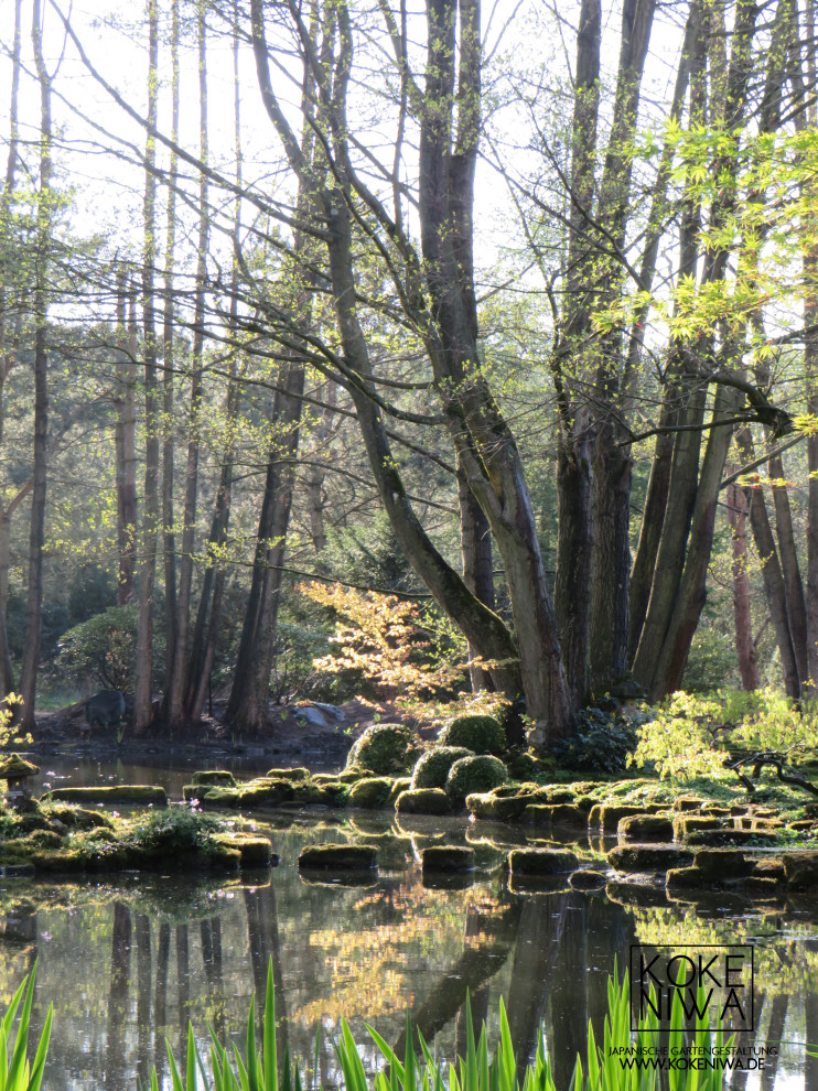 Ejemplo de jardín asiático extra grande