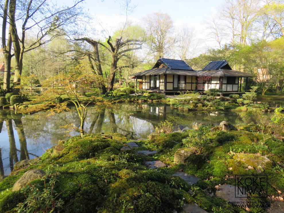 Imagen de jardín de estilo zen extra grande