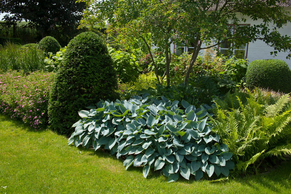 Pflanzen Garten Hamburg von Bahl GmbH Gärtner von Eden® Houzz