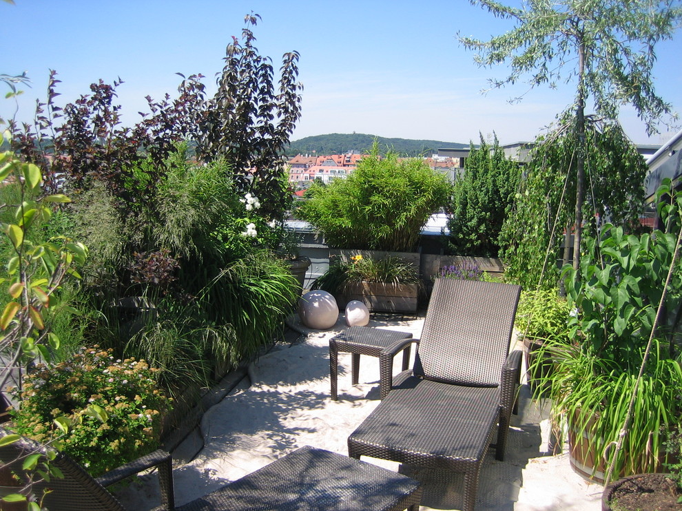 Imagen de jardín clásico pequeño en azotea con jardín de macetas y exposición parcial al sol