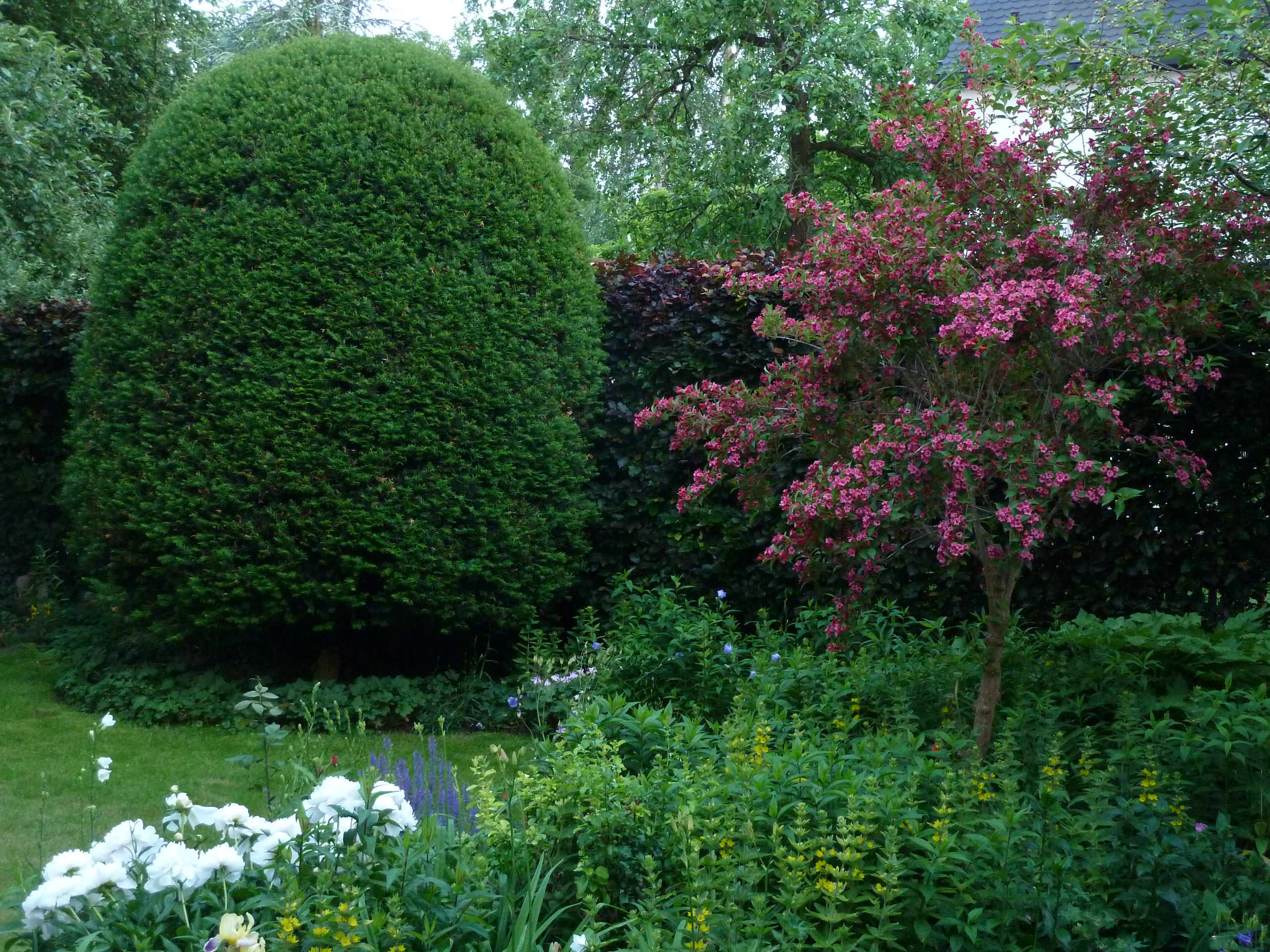 ЛЕНИВЫЙ САД. ДЕЛИМСЯ ОПЫТОМ. An unpretentious garden. Дачный креатив.