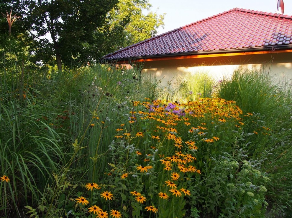 Pflanzenschätze in Dauerblüte Contemporary Landscape Hanover by