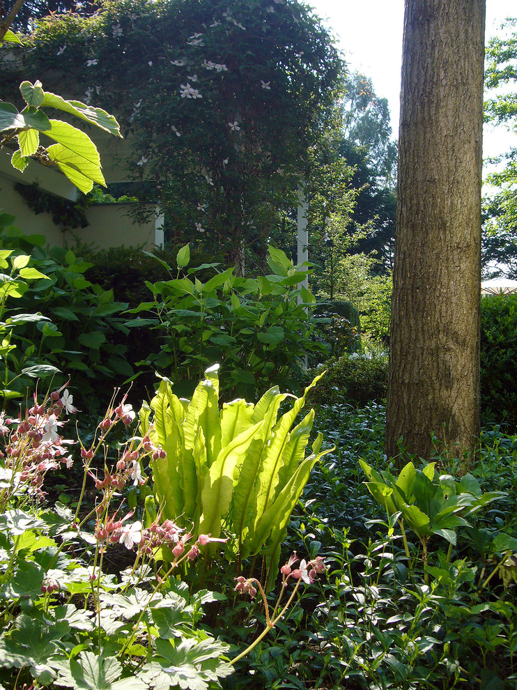 Esempio di un giardino classico esposto a mezz'ombra di medie dimensioni e nel cortile laterale in primavera