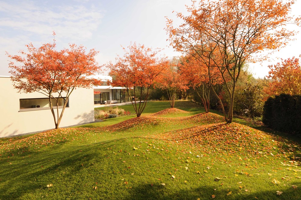 Idee per un grande giardino design esposto in pieno sole nel cortile laterale in autunno