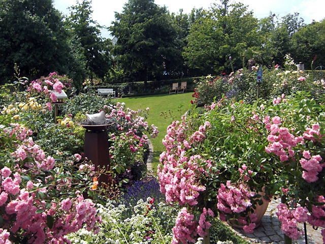 Rose Garden 2 - Traditional - Landscape - Other - by Stefan Laport