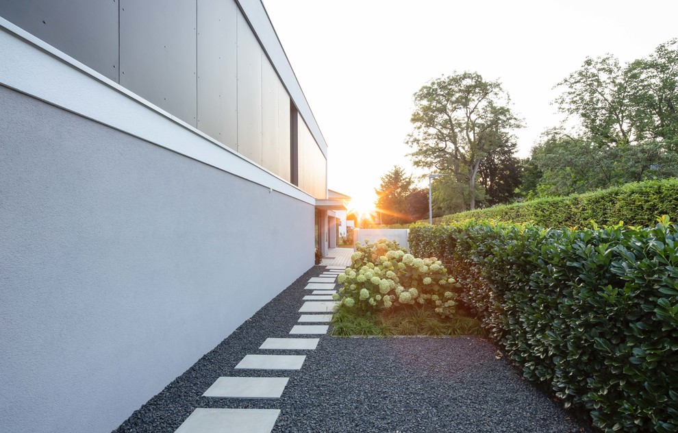 Idee per un piccolo giardino moderno esposto in pieno sole nel cortile laterale con pavimentazioni in cemento e un ingresso o sentiero