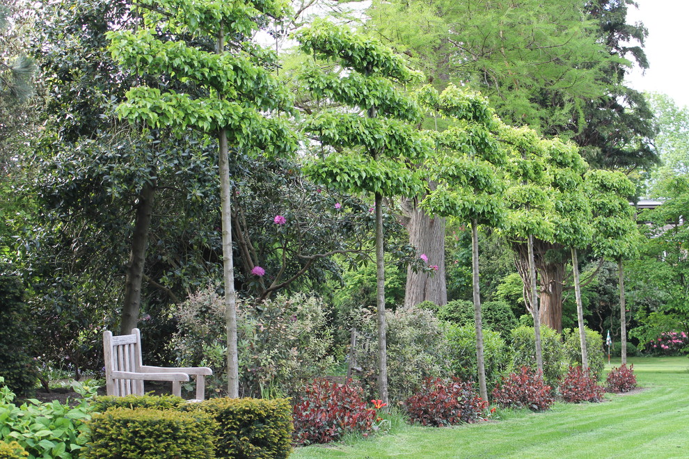 Idée de décoration pour un grand jardin arrière tradition l'été avec une exposition partiellement ombragée.