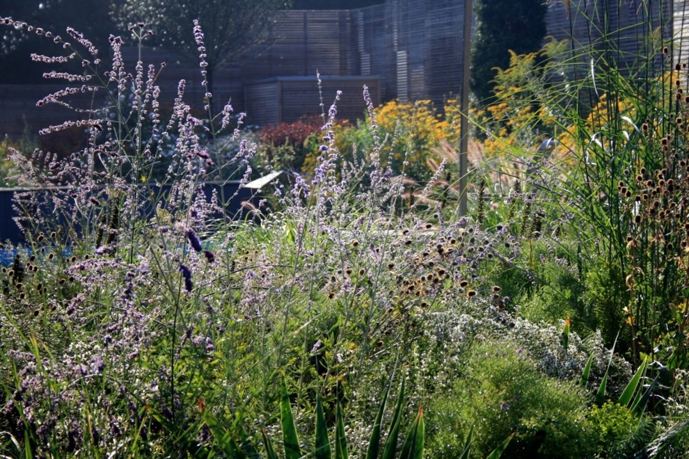 Sommerglück im Mediterranean Landscape Hanover by
