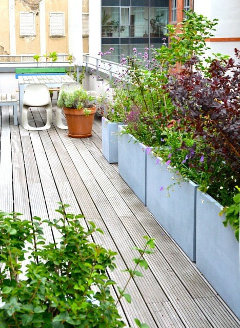 На фото: большой участок и сад на крыше в современном стиле с растениями в контейнерах