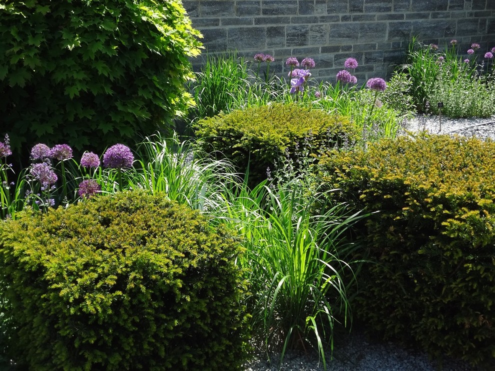 Inspiration for a transitional landscaping in Nuremberg.