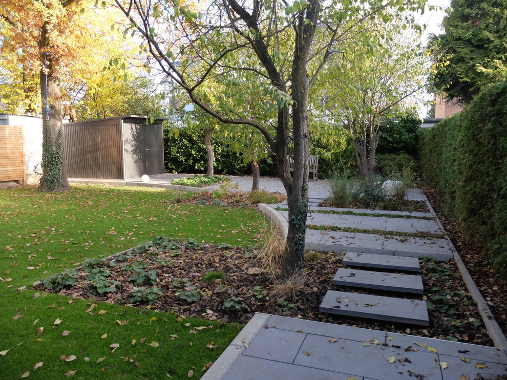 Geometrischer, Kleiner, Halbschattiger Moderner Gartenweg im Herbst, neben dem Haus mit Betonboden in Bonn