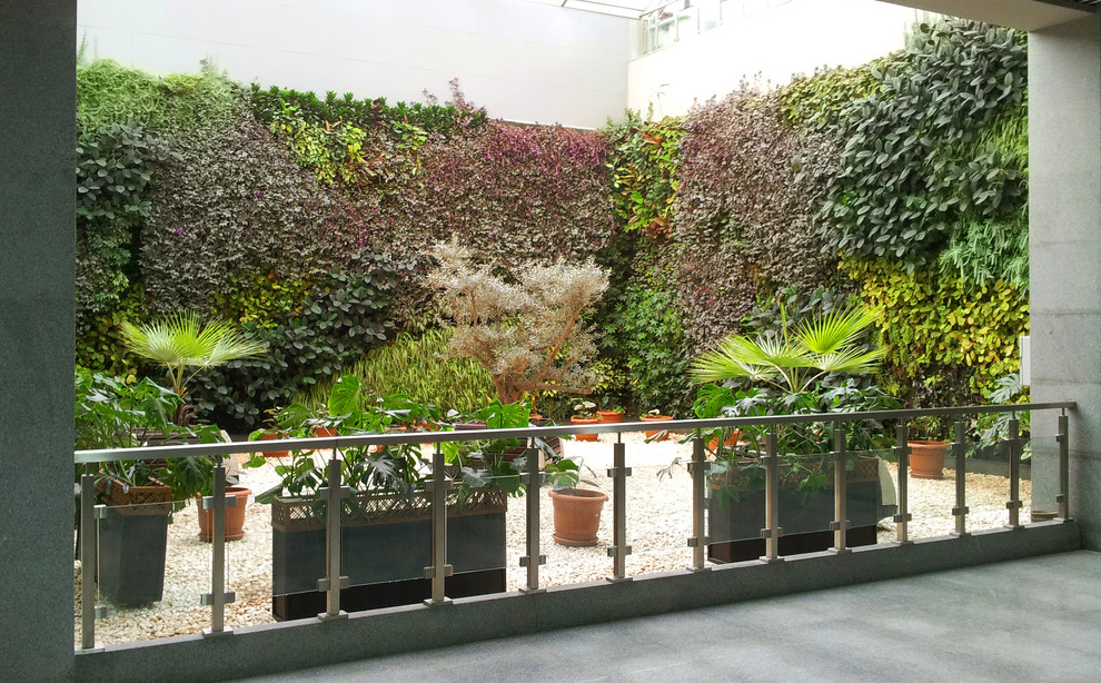 Diseño de jardín contemporáneo pequeño en patio con jardín de macetas, exposición parcial al sol y gravilla