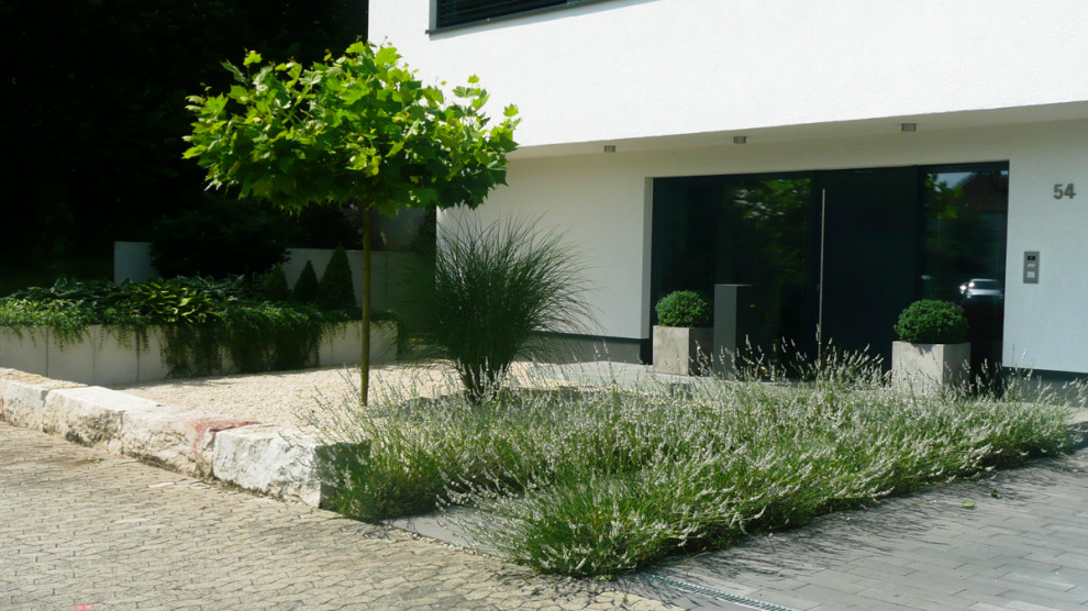 Esempio di un giardino minimal esposto in pieno sole davanti casa con un ingresso o sentiero e pavimentazioni in mattoni