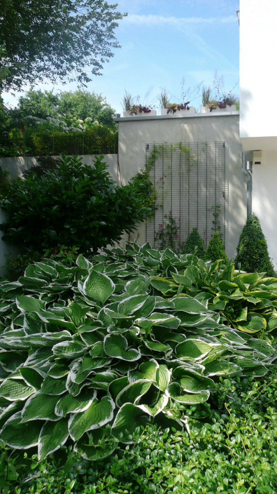 На фото: участок и сад на переднем дворе в современном стиле с клумбами, полуденной тенью и мощением тротуарной плиткой