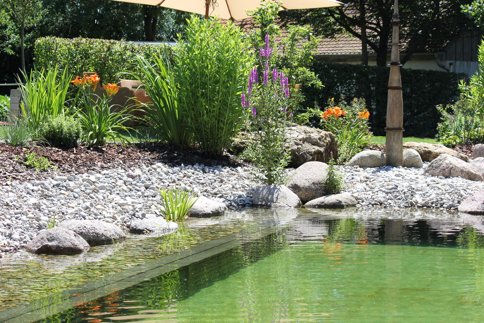 Foto di un grande giardino xeriscape classico esposto in pieno sole in estate con pacciame