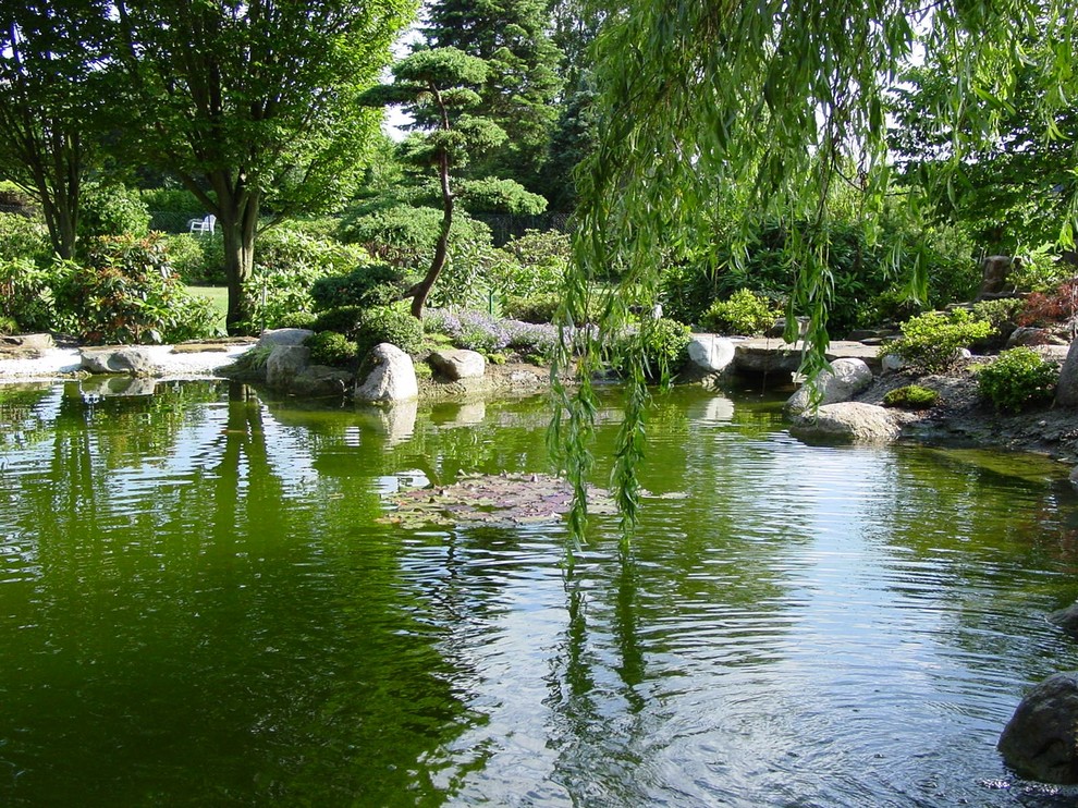 Источник вдохновения для домашнего уюта: солнечный, летний японский сад среднего размера на внутреннем дворе в восточном стиле с хорошей освещенностью и покрытием из каменной брусчатки