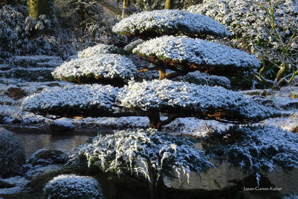Immagine di un grande giardino etnico esposto in pieno sole nel cortile laterale in inverno con pavimentazioni in pietra naturale