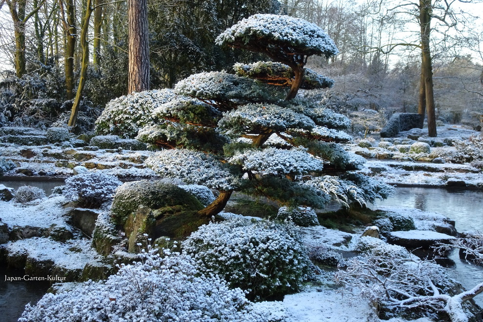 Foto di un grande giardino etnico esposto in pieno sole nel cortile laterale in inverno con pavimentazioni in pietra naturale