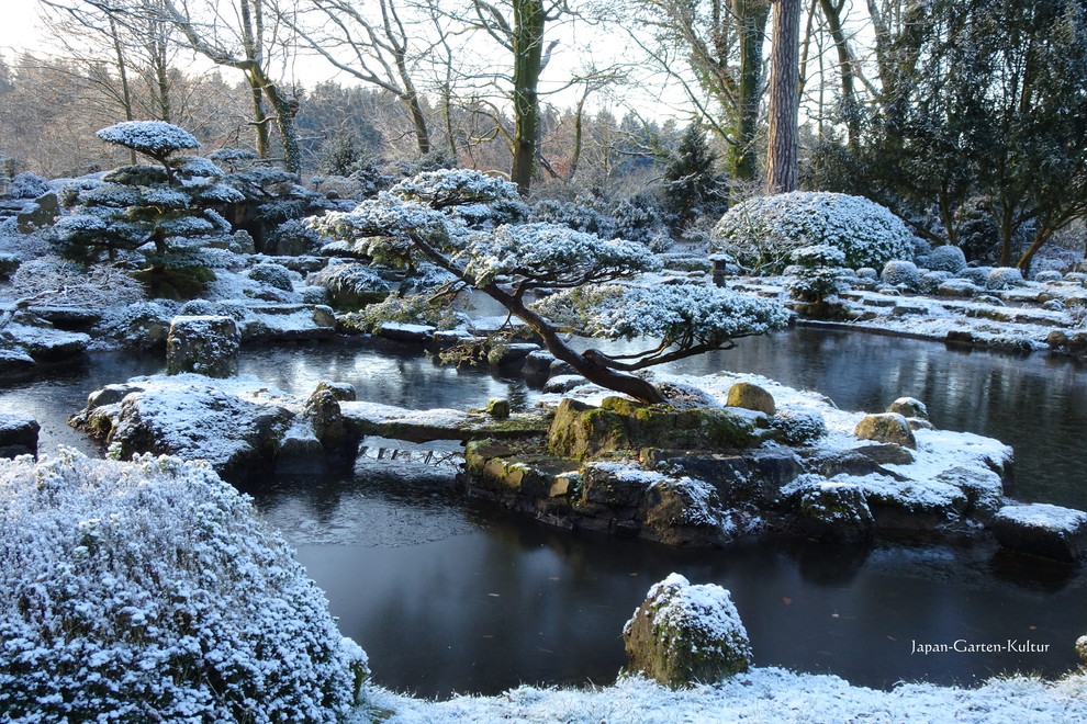 Großer Asiatischer Japanischer Garten im Winter, neben dem Haus mit direkter Sonneneinstrahlung und Natursteinplatten in Hannover