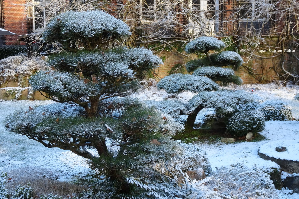 Inspiration för en stor orientalisk trädgård i full sol längs med huset på vinteren, med naturstensplattor