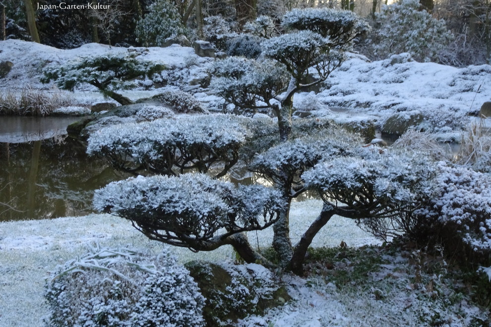 Großer Asiatischer Japanischer Garten im Winter, neben dem Haus mit direkter Sonneneinstrahlung und Natursteinplatten in Hannover