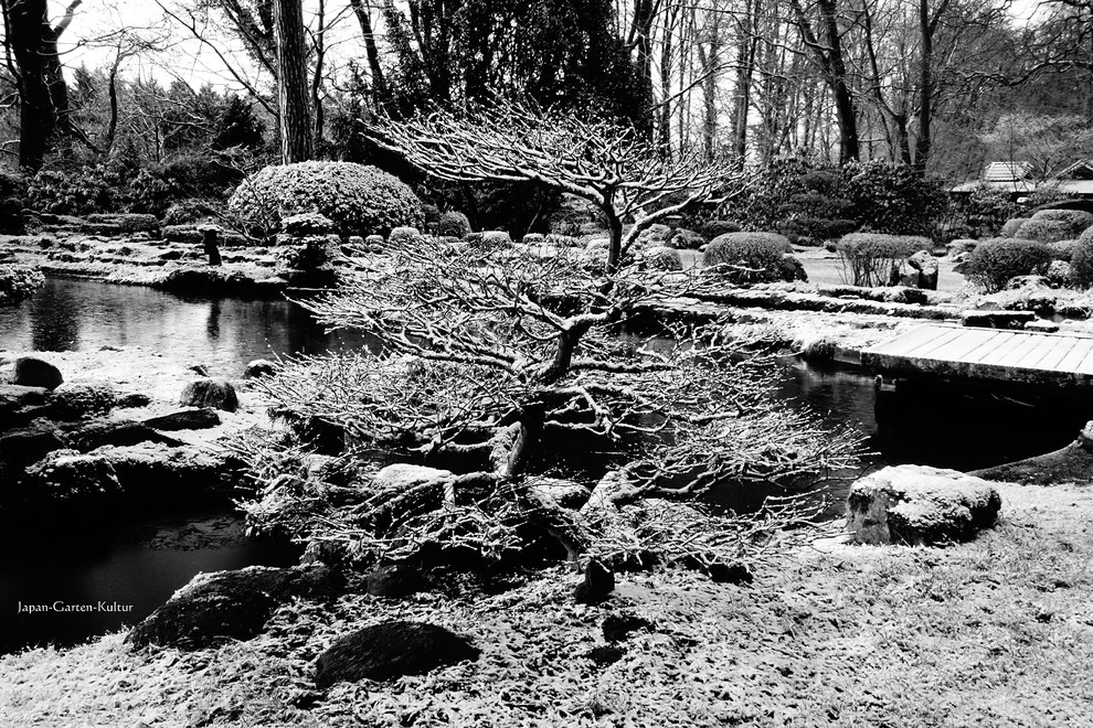 Cette image montre un grand jardin latéral asiatique l'hiver avec une exposition ensoleillée, des pavés en pierre naturelle et un bassin.