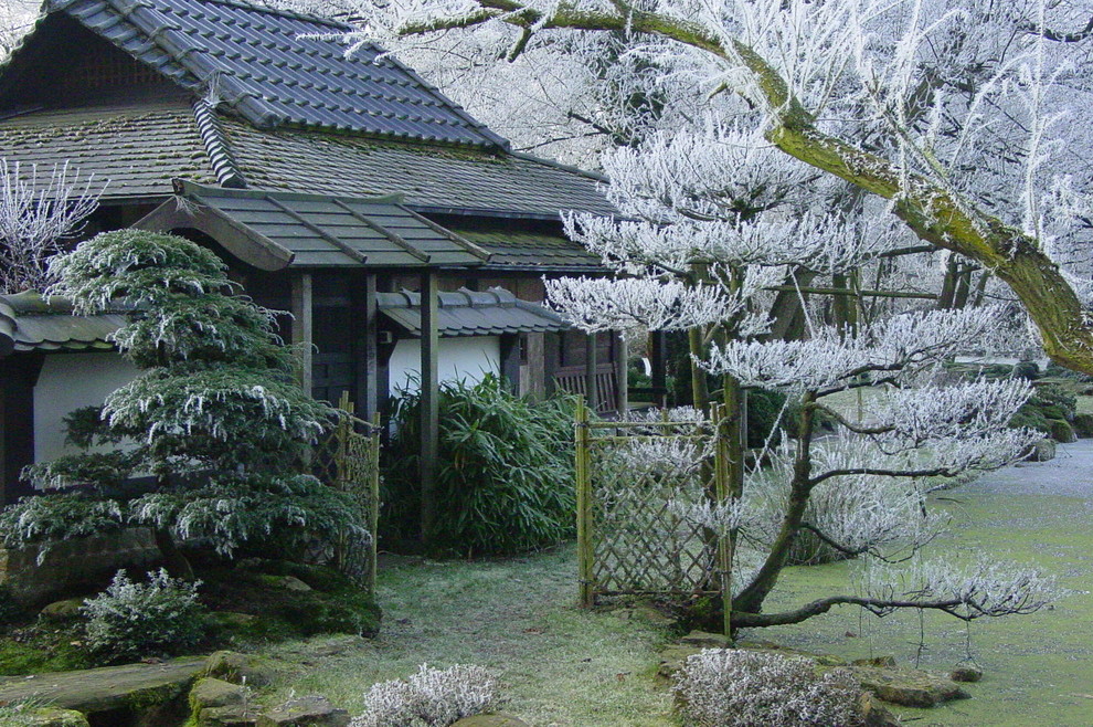 Foto på en stor orientalisk trädgård i delvis sol längs med huset på vinteren, med en damm och naturstensplattor