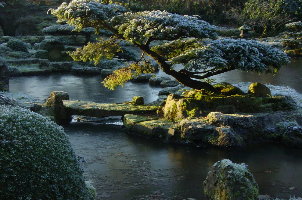 Großer, Halbschattiger Asiatischer Gartenteich im Winter, neben dem Haus mit Natursteinplatten in Hannover