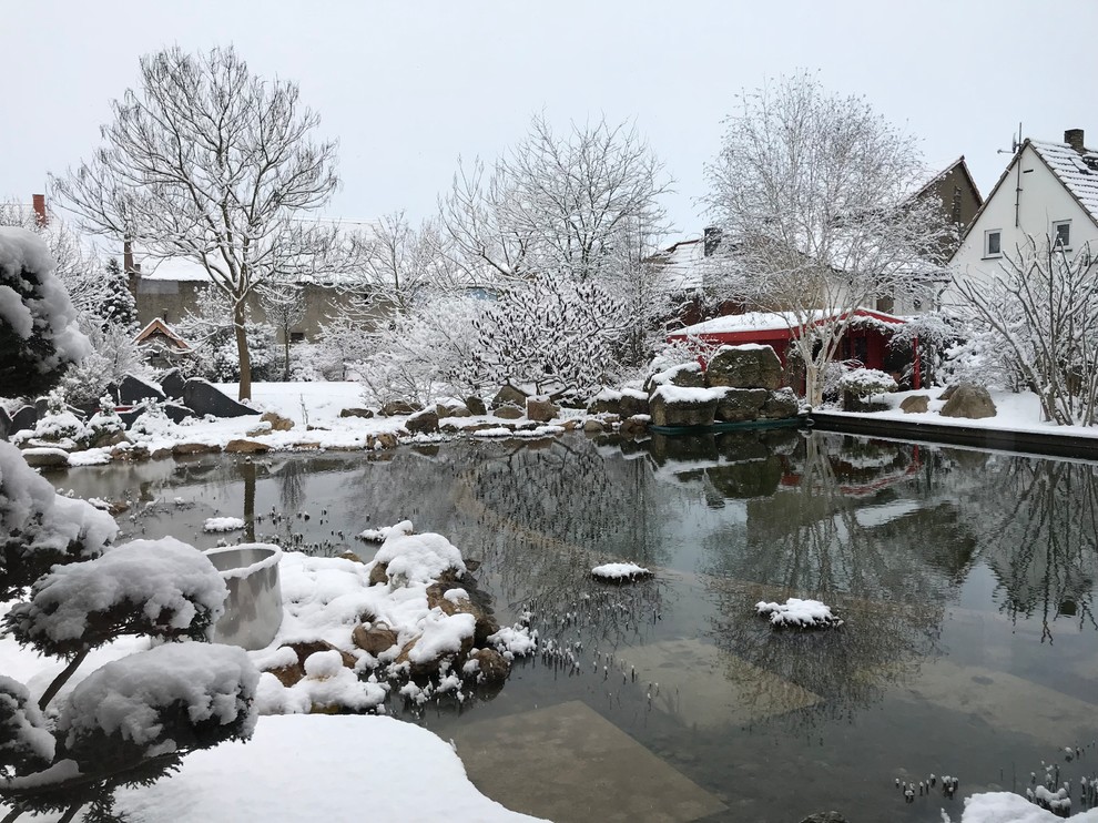 Ejemplo de jardín actual grande en invierno en patio lateral con estanque, exposición total al sol y adoquines de piedra natural