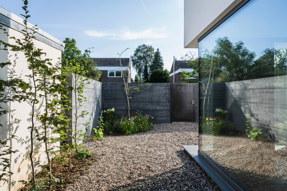 Idéer för en mellanstor modern trädgård i full sol på sommaren, med en vertikal trädgård