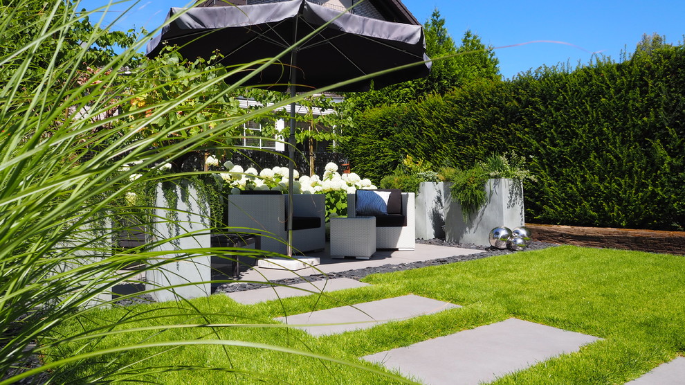Mittelgroßer Moderner Garten hinter dem Haus mit Kübelpflanzen in Köln