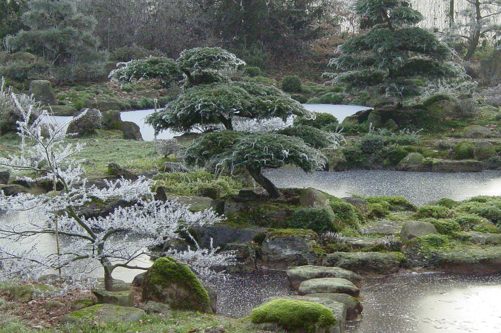 Foto di un giardino etnico in inverno