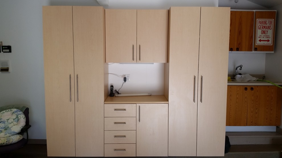 Small Maple Storage Unit in Naperville, IL Traditional Garage