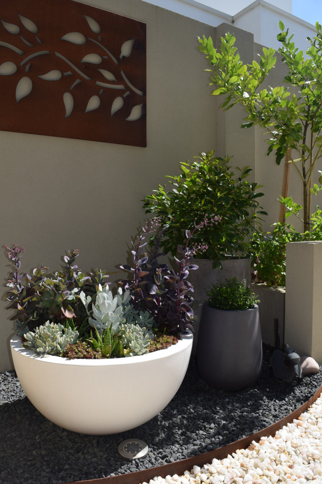 A COASTAL GARDEN SANCTUARY Beach Style Landscape Perth by Nouveau Garden Designs Houzz