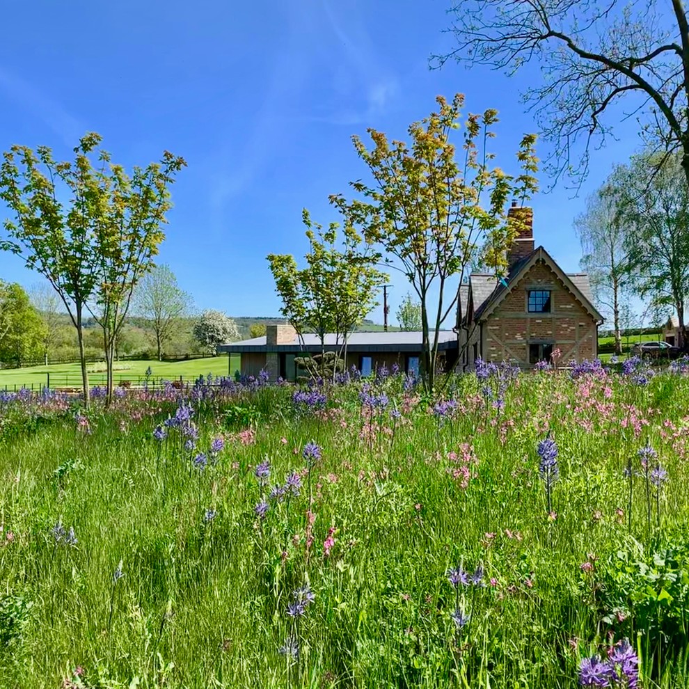 Großer Moderner Garten im Sommer, neben dem Haus mit Auffahrt, Blumenbeet, direkter Sonneneinstrahlung und Natursteinplatten in Oxfordshire