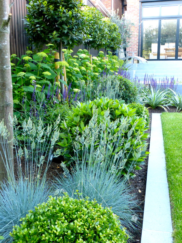 Mittelgroßer, Halbschattiger Moderner Garten im Sommer, hinter dem Haus mit Natursteinplatten in London