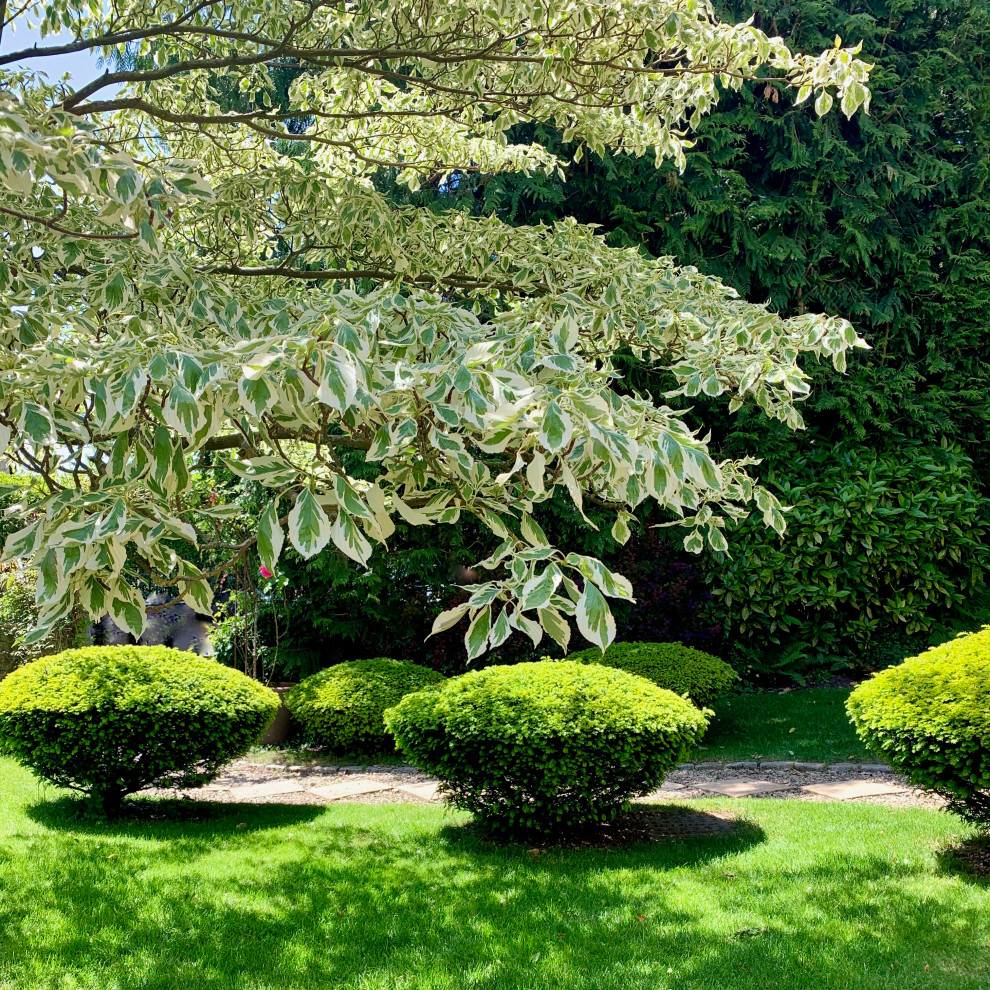Foto di un giardino chic esposto in pieno sole di medie dimensioni e davanti casa in primavera con un ingresso o sentiero e ghiaia