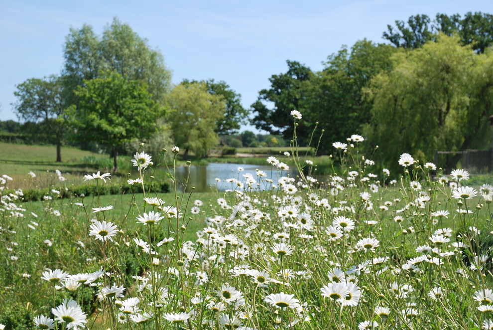 A Dynamic Country Estate - Farmhouse - Landscape - Sussex | Houzz