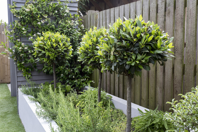 A functional and flowing family garden - Modern - Garden - London - by