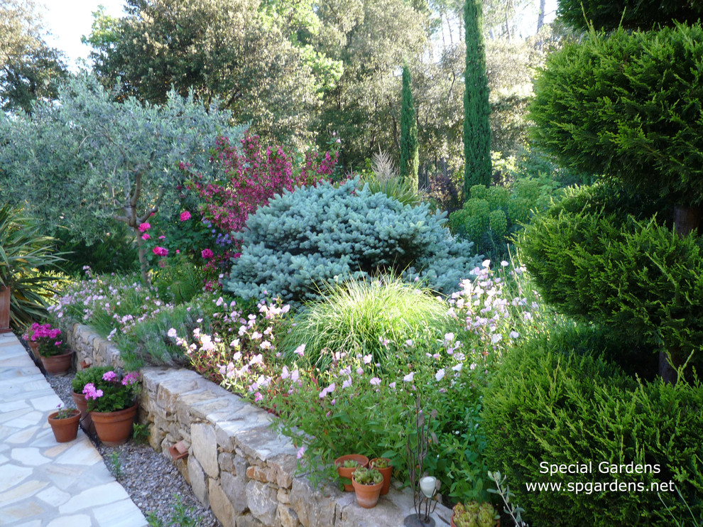 Exemple d'un jardin méditerranéen.