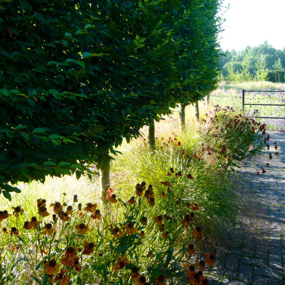 Cette photo montre un petit jardin arrière chic l'été avec une exposition ensoleillée et des pavés en brique.