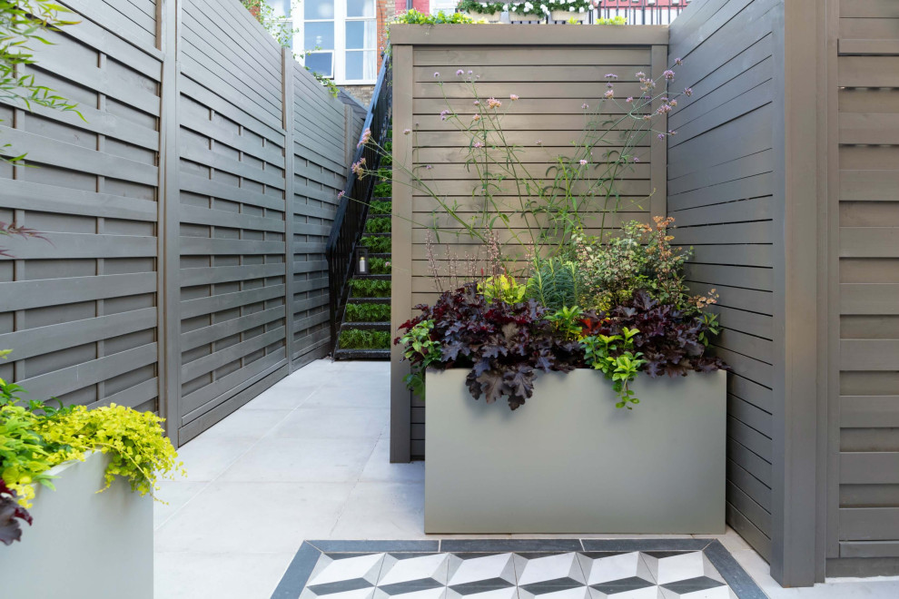 Design ideas for a small contemporary courtyard garden in London.