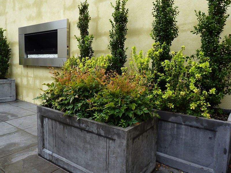 Inspiration for a small courtyard garden in Wellington with a potted garden.
