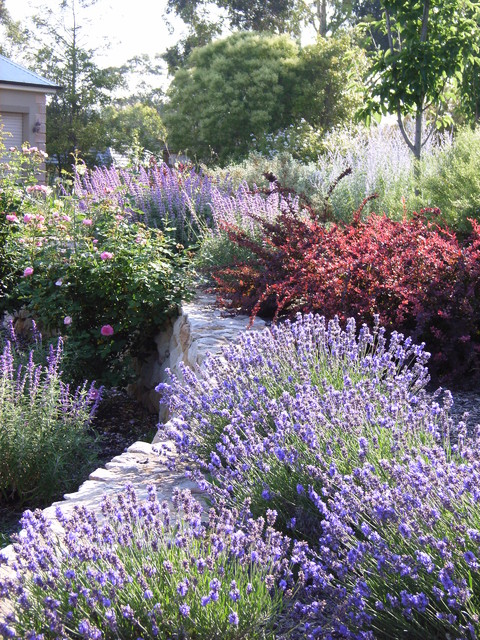 Acreage Awe Landhausstil Garten Sydney von SENSE Landscapes