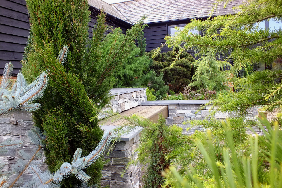 Esempio di un giardino rustico esposto in pieno sole di medie dimensioni e in cortile in estate con pedane