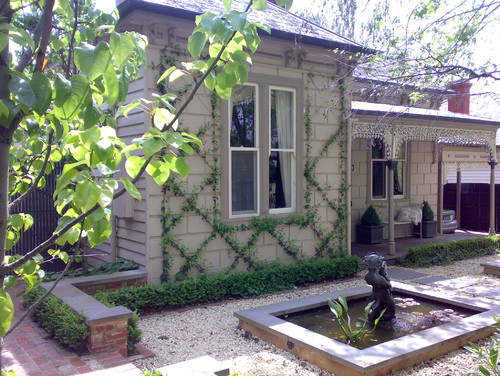 garden-vines-melbourne-australia