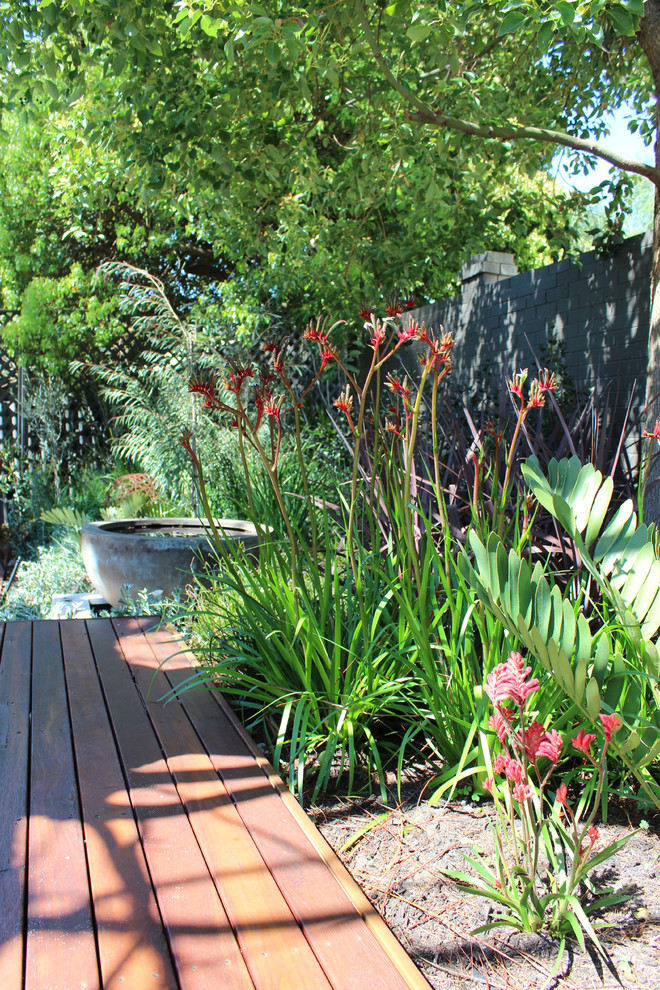 Idée de décoration pour un jardin arrière bohème avec un point d'eau et une terrasse en bois.