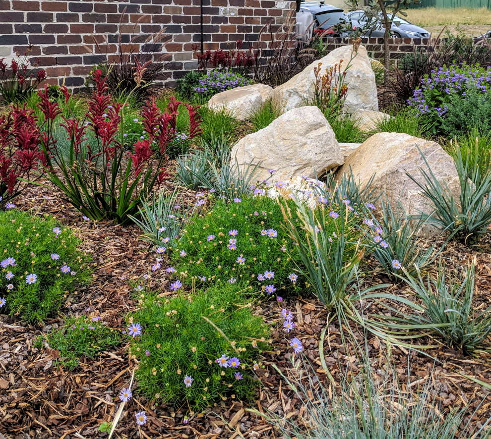 На фото: солнечный засухоустойчивый сад среднего размера на переднем дворе в современном стиле с камнем в ландшафтном дизайне, хорошей освещенностью и мощением клинкерной брусчаткой