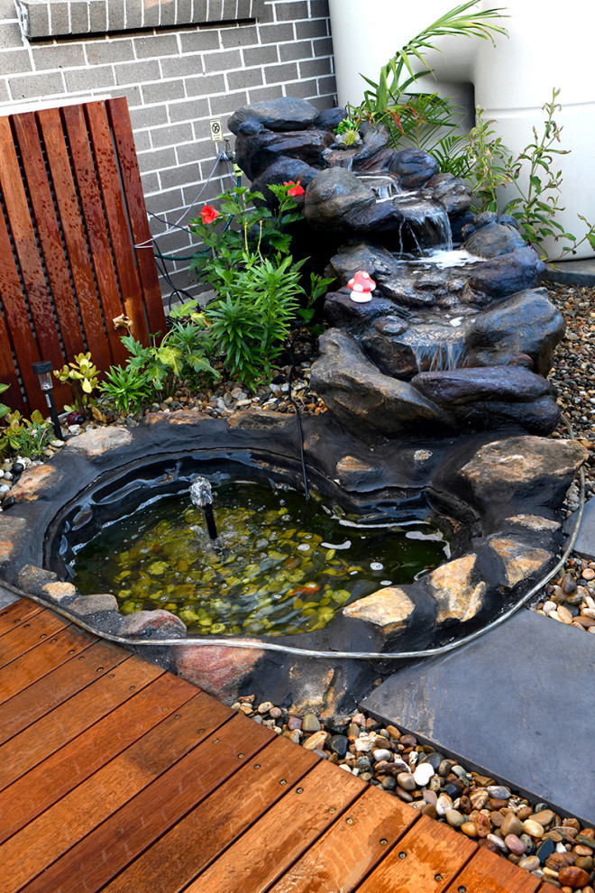 Kleiner Asiatischer Gartenwasserfall hinter dem Haus mit Dielen in Sydney