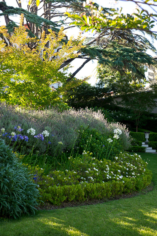 Cette image montre un grand jardin à la française avant traditionnel au printemps avec une exposition partiellement ombragée.